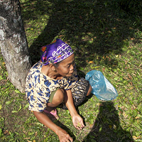 Photo de Bali - Banjar et Gitgit